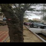 Satılır Obyekt, Nizami metrosu, Nəsimi rayonu 6
