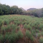 Satılır Torpaq, Savalan qəs., Sabunçu rayonu 3