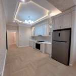 Kirayə (aylıq) 2 otaqlı Yeni Tikili, Gənclik metrosu, Koala parkı, Nəsimi rayonu 15