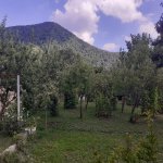 Kirayə (günlük) 3 otaqlı Həyət evi/villa Qax 1