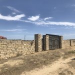 Satılır Torpaq, Saray, Abşeron rayonu 4