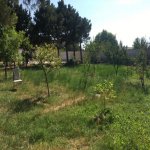 Satılır Torpaq, Novxanı, Abşeron rayonu 5