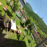 Kirayə (günlük) 4 otaqlı Həyət evi/villa Qəbələ 8