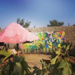 Kirayə (günlük) 5 otaqlı Bağ evi, Xəzər rayonu 12