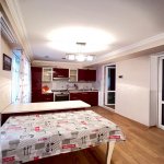 Kirayə (aylıq) 4 otaqlı Köhnə Tikili, Nəriman Nərimanov metrosu, Nərimanov rayonu 13