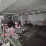 Kirayə (aylıq) Obyekt, Nəsimi metrosu, 6-cı mikrorayon, Binəqədi rayonu 3
