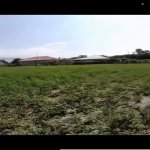 Satılır Torpaq Şəki 2