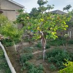 Satılır 3 otaqlı Həyət evi/villa, Saray, Abşeron rayonu 12