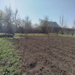 Satılır Torpaq İsmayıllı 4