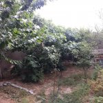 Satılır 7 otaqlı Bağ evi, Novxanı, Abşeron rayonu 10
