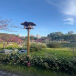 Satılır 3 otaqlı Yeni Tikili, Gənclik metrosu, Dədə Qorqud parkı, Nəsimi rayonu 2