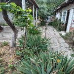 Satılır 3 otaqlı Həyət evi/villa Xızı 8