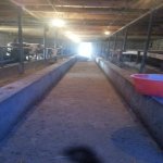 Satılır 4 otaqlı Həyət evi/villa Bərdə 9