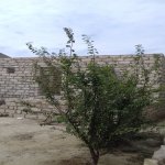Satılır 3 otaqlı Bağ evi, Pirşağı qəs., Sabunçu rayonu 1