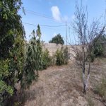 Satılır Torpaq, Maştağa qəs., Sabunçu rayonu 5