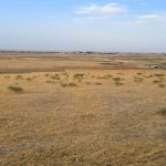 Продажа Участок, Сарай, Абшерон район 3