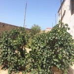 Satılır 5 otaqlı Bağ evi, Goradil, Abşeron rayonu 3