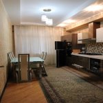 Kirayə (aylıq) 4 otaqlı Yeni Tikili, Nəriman Nərimanov metrosu, Nərimanov rayonu 21