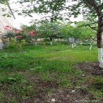 Kirayə (günlük) 4 otaqlı Həyət evi/villa Oğuz 18