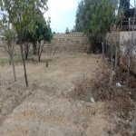 Satılır Torpaq Sumqayıt 2