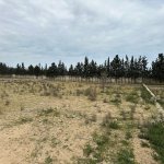 Satılır Torpaq, Şüvəlan, Xəzər rayonu 4