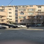 Satılır 1 otaqlı Köhnə Tikili, İnşaatçılar metrosu, Yasamal rayonu 1