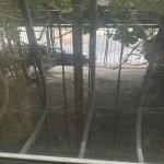 Kirayə (aylıq) 2 otaqlı Köhnə Tikili, Qurd Qapısı, Səbail rayonu 9