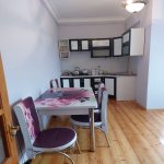 Kirayə (aylıq) 2 otaqlı Yeni Tikili, Nizami metrosu, 8-ci kilometr, Nizami rayonu 11