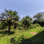 Satılır 6 otaqlı Həyət evi/villa Oğuz 6