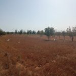 Satılır Torpaq, Koroğlu metrosu, Maştağa qəs., Sabunçu rayonu 4