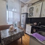 Аренда 2 комнатная Новостройка, м. Эльмляр Академиясы метро, пос. Ясамал, , Ясамал район 6