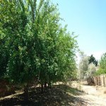 Satılır Torpaq, Goradil, Abşeron rayonu 9