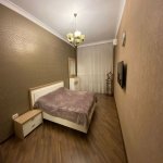 Kirayə (günlük) 3 otaqlı Yeni Tikili, 28 May metrosu, Nəsimi rayonu 4