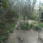 Satılır 4 otaqlı Həyət evi/villa, Bülbülə qəs., Suraxanı rayonu 8