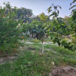 Satılır 3 otaqlı Həyət evi/villa, Hövsan qəs., Suraxanı rayonu 16