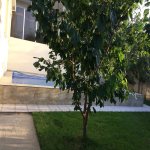 Посуточно 3 комнатная Дача, Новханы, Абшерон район 3