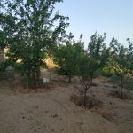 Satılır 3 otaqlı Bağ evi, Novxanı, Abşeron rayonu 21