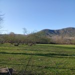 Satılır Torpaq Qəbələ 3