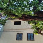 Продажа 2 комнат Дома/Виллы, Белый город, Хетаи район 3