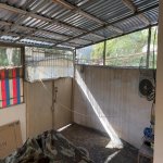 Satılır 2 otaqlı Köhnə Tikili Gəncə 5