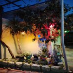 Satılır 3 otaqlı Həyət evi/villa, Yeni Suraxanı qəs., Suraxanı rayonu 7