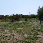 Satılır Torpaq Sumqayıt 3