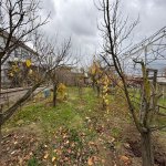 Satılır Torpaq, Buzovna, Xəzər rayonu 5