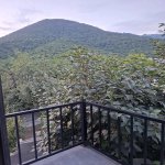 Kirayə (günlük) 4 otaqlı Həyət evi/villa Qəbələ 14