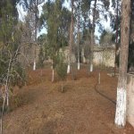 Продажа Участок, Шювалан, Хязяр район 2