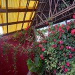 Satılır 6 otaqlı Həyət evi/villa Sumqayıt 19