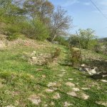 Satılır 3 otaqlı Həyət evi/villa İsmayıllı 9