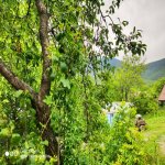 Satılır 6 otaqlı Həyət evi/villa İsmayıllı 30