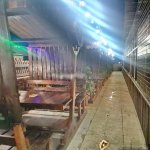 Kirayə (aylıq) Obyekt, Əhmədli metrosu, Əhmədli, Xətai rayonu 15