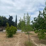 Satılır Torpaq, Şüvəlan, Xəzər rayonu 7